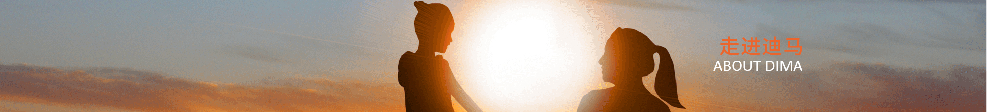 迪馬簡介-公司組織-發(fā)展歷程-公司榮譽